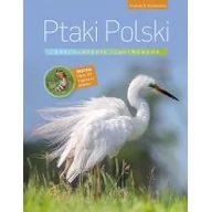 Encyklopedie i leksykony - Multico Ptaki Polski, Encyklopedia ilustrowana - Andrzej Kruszewicz - miniaturka - grafika 1