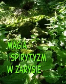 Religia i religioznawstwo - Magia i spirytyzm w zarysie - miniaturka - grafika 1