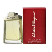 Wody i perfumy męskie - Salvatore Ferragamo, Pour Homme, woda toaletowa, 100 ml - miniaturka - grafika 1