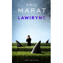 Wydawnictwo Literackie Lawirynt - Emil Marat - Powieści sensacyjne - miniaturka - grafika 2