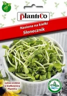 Nasiona i cebule - Plantico Nasiona na Kiełki słonecznika - miniaturka - grafika 1