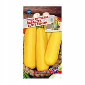 Nasiona i cebule - Dynia Złoty Cepelin 2g / O / - miniaturka - grafika 1