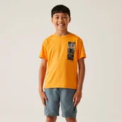 Koszulki dla chłopców - Regatta Dziecięca koszulka Alvarado IX Pomarańczowy, Rozmiar: 152 cm - miniaturka - grafika 1