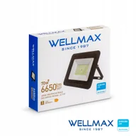 Lampy pozostałe - Naświetlacz Wellmax Samsung 70W 6650lm 4000K IP65 - miniaturka - grafika 1