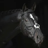 Ogłowia - Covalliero Ogłowie Cancun, cob, czarne - miniaturka - grafika 1