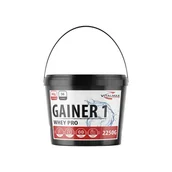 Odżywki białkowe - Vitalmax, Booster, Whey Pro Gainer, 2250 g - miniaturka - grafika 1