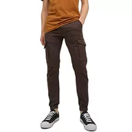 Spodnie męskie - Jack & Jones Spodnie męskie, mulcz, 29W / 34L - miniaturka - grafika 1