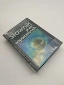 Słowniki języka polskiego - SL POJEC WSPOL - miniaturka - grafika 1