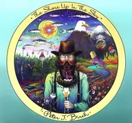 Folk - Peter J. Birch: The Shore Up In The Sky [CD] - miniaturka - grafika 1