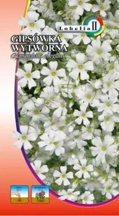 Gipsówka wytworna biała 1g / L / - Nasiona i cebule - miniaturka - grafika 1
