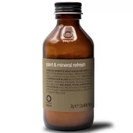 Kosmetyki do stylizacji włosów - OWay Botanical, odświeżający puder mineralny, 36 g - miniaturka - grafika 1