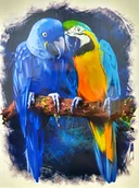 Malowanie po numerach - Obraz Malowanie Po Numerach Na Krośnie + Rama - miniaturka - grafika 1