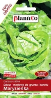 Nasiona i cebule - NASIONA Sałata Głowiasta Masłowa Marysieńka 1,2g PLANTICO 404151 - miniaturka - grafika 1