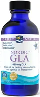 Włosy, skóra, paznokcie - NORDIC NATURALS Nordic GLA (Omega-6, Olej z ogórecznika) 119ml - miniaturka - grafika 1