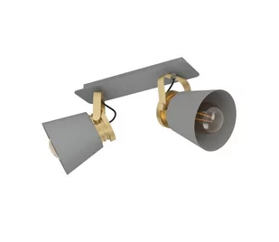 Eglo 43836 - Oświetlenie punktowe TWICKEN 2xE27/40W/230V - Lampy sufitowe - miniaturka - grafika 1