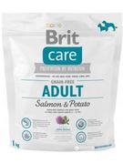 Sucha karma dla psów - Brit Care Grain-free Adult Salmon&Potato 1 kg - miniaturka - grafika 1