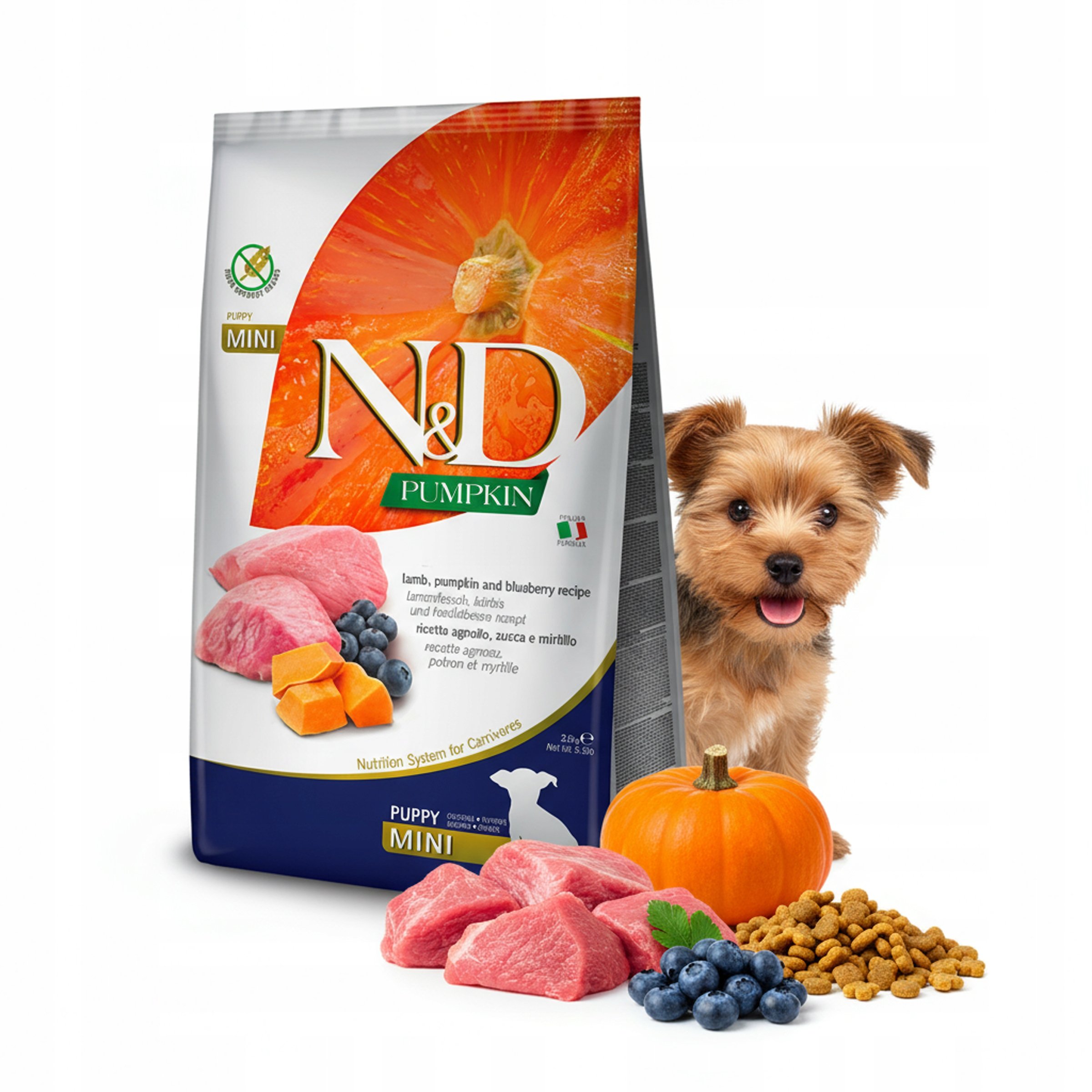 Farmina N&D Grain Free Puppy Mini Pumpkin Lamb&Blueberry