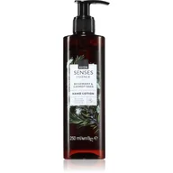 Kremy i maski do rąk - Avon Senses Essence Rosemary & Carrot Seed krem zmiękczający do rąk 250 ml - miniaturka - grafika 1
