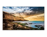 Monitory - Samsung LH65QETELGC (65")  - miniaturka - grafika 1