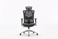 Fotele i krzesła biurowe - Fotel ergonomiczny ANGEL biurowy obrotowy Dakota 2.0 - miniaturka - grafika 1