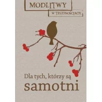 M Wydawnictwo Modlitwy w trudnościach. Dla tych, którzy są... praca zbiorowa - Religia i religioznawstwo - miniaturka - grafika 1
