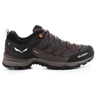 Buty trekkingowe męskie - Buty trekkingowe męskie Salewa Mtn Trainer Lite Gtx - miniaturka - grafika 1