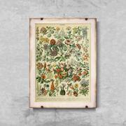 Plakaty - Plakat vintage Kwiatki Adolphe Millot A3 30x40cm z ramką pion - miniaturka - grafika 1