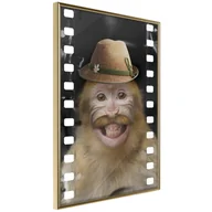 Plakaty - Plakat - Przebrana małpka (rozmiar 40x60, wykończenie Rama złota z passe-partout) - miniaturka - grafika 1