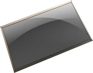 HP inc 15.6-inch FHD LED SVA Panel - Matryce LCD do laptopów - miniaturka - grafika 1