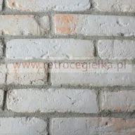 Inne materiały budowlane - Płytki ze starej cegły - białe z przebarwieniami - miniaturka - grafika 1