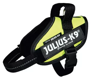 Julius K9 IDC Uprząż dla psa rozmiar Mini Mini, neonowy zielony Julius K9 - Szelki dla psów - miniaturka - grafika 1