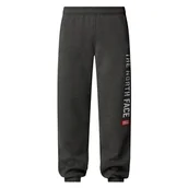 Spodnie sportowe męskie - Spodnie The North Face Varsity Graphic 0A89DPDYY1 - szare - miniaturka - grafika 1