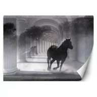 Fototapety - Fototapeta, Biegnący koń, efekt 3D (Rozmiar 350x245) - miniaturka - grafika 1