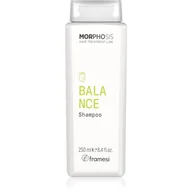 Szampony do włosów - Framesi Morphosis Balance Shampoo szampon oczyszczający do włosów przetłuszczających się 250 ml - miniaturka - grafika 1