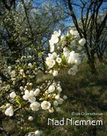 E-booki - literatura polska - Nad Niemnem - miniaturka - grafika 1