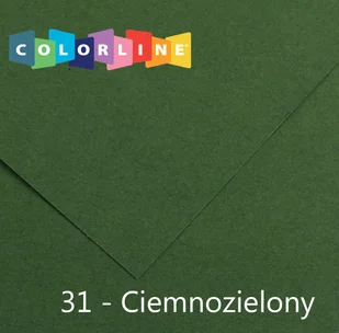 Brystol Canson Colorline 31 zielony ciemny 150g 10k [mm:] 500x650 (31074S056) - Szkolne artykuły papiernicze - miniaturka - grafika 1