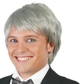 Dodatki do strojów karnawałowych - Guirca Siwa męska peruka - 1 szt. GU4685 - miniaturka - grafika 1