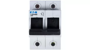 Eaton Rozłącznik bezpiecznikowy 2P 63A D02 Z-SLS/CB/2 248248 248248 - Bezpieczniki elektryczne - miniaturka - grafika 1