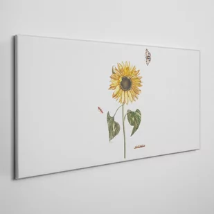 Obraz Canvas Kwiaty Rośliny 100x50cm - Obrazy i zdjęcia na płótnie - miniaturka - grafika 1