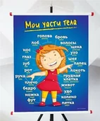 Pomoce naukowe - Plansza- - miniaturka - grafika 1