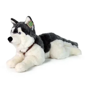 Pluszak Maskotka Pies Husky Eco bawełna Prezent na święta 60 cm XXL - Maskotki i pluszaki - miniaturka - grafika 1