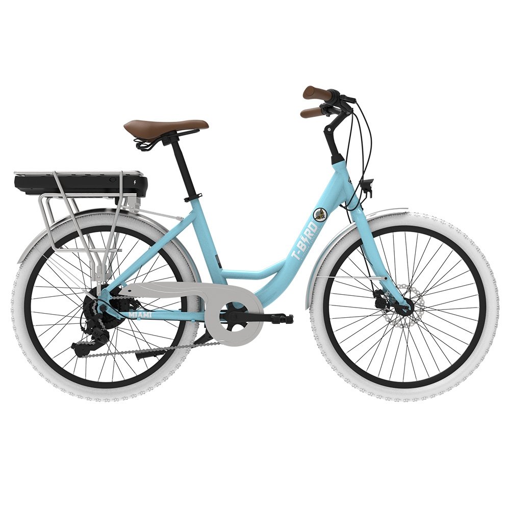 Miami-26 Electric Bike 250W Motor 36V 14 4Ah Battery 26*1 95 inch Tires 25km/h Max Speed 45km Range Front