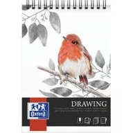Szkolne artykuły papiernicze - Blok artystyczny rysunkowy A3/30K 160g spirala - miniaturka - grafika 1