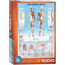 Eurographics z ludzkiego ciała 1000 elementów puzzle - Puzzle - miniaturka - grafika 1