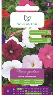 Nasiona i cebule - Nasiona Petunia ogrodowa nis.zwarte mieszanka 0.10g - W.Legutko - miniaturka - grafika 1