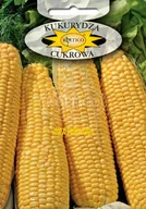 Nasiona i cebule - KUKURYDZA CUKROWA GOLDEN BANTAM 10g - miniaturka - grafika 1