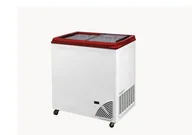 Szafy i witryny chłodnicze - Zamrażarka sklepowa przeszklona BYFAL ARO-200/2 - miniaturka - grafika 1