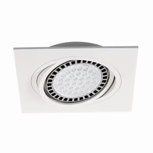 BOXY DL 1 SPOT BIAŁY/WHITE 20071-WH - Lampy pozostałe - miniaturka - grafika 1