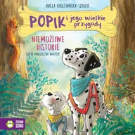 Audiobooki dla dzieci i młodzieży - Niemożliwe historie. Popik i jego wielkie przygody - miniaturka - grafika 1