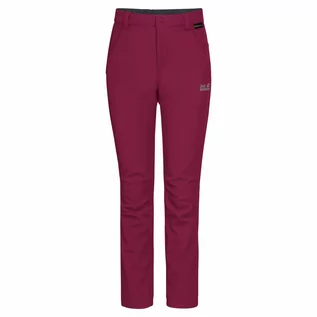 Spodnie i spodenki dla dziewczynek - Spodnie softshell dziecięce FOURWINDS PANTS K dark ruby - grafika 1